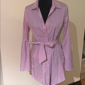 Stripped Dress Shirt Mini